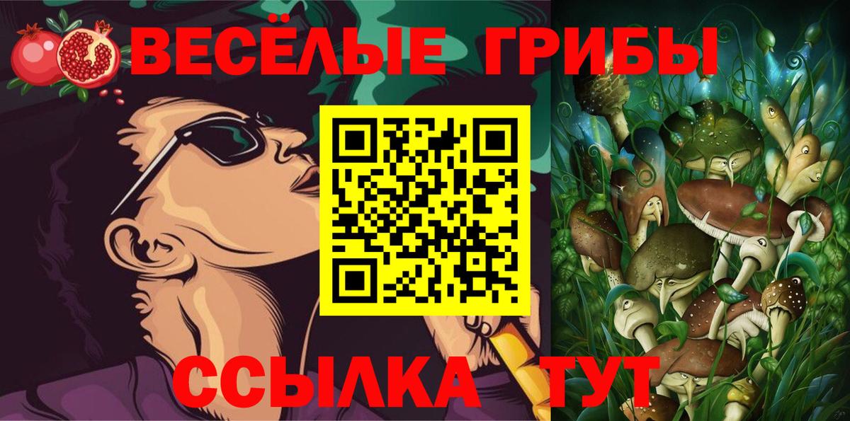 купить   Галлюциногенные грибы GOLDEN TEACHER  Вход с VPN  Чита  Псилоцибиновые грибы GOLDEN TEACHER 