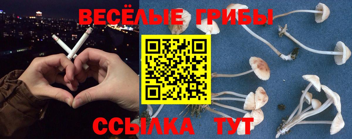 Псилоцибиновые грибы Cubensis Чита
